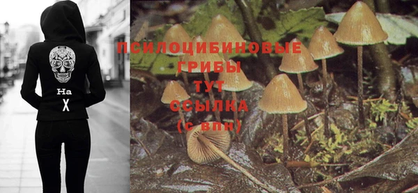 метадон Баксан