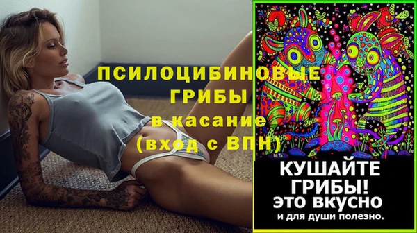 соль ск Балахна
